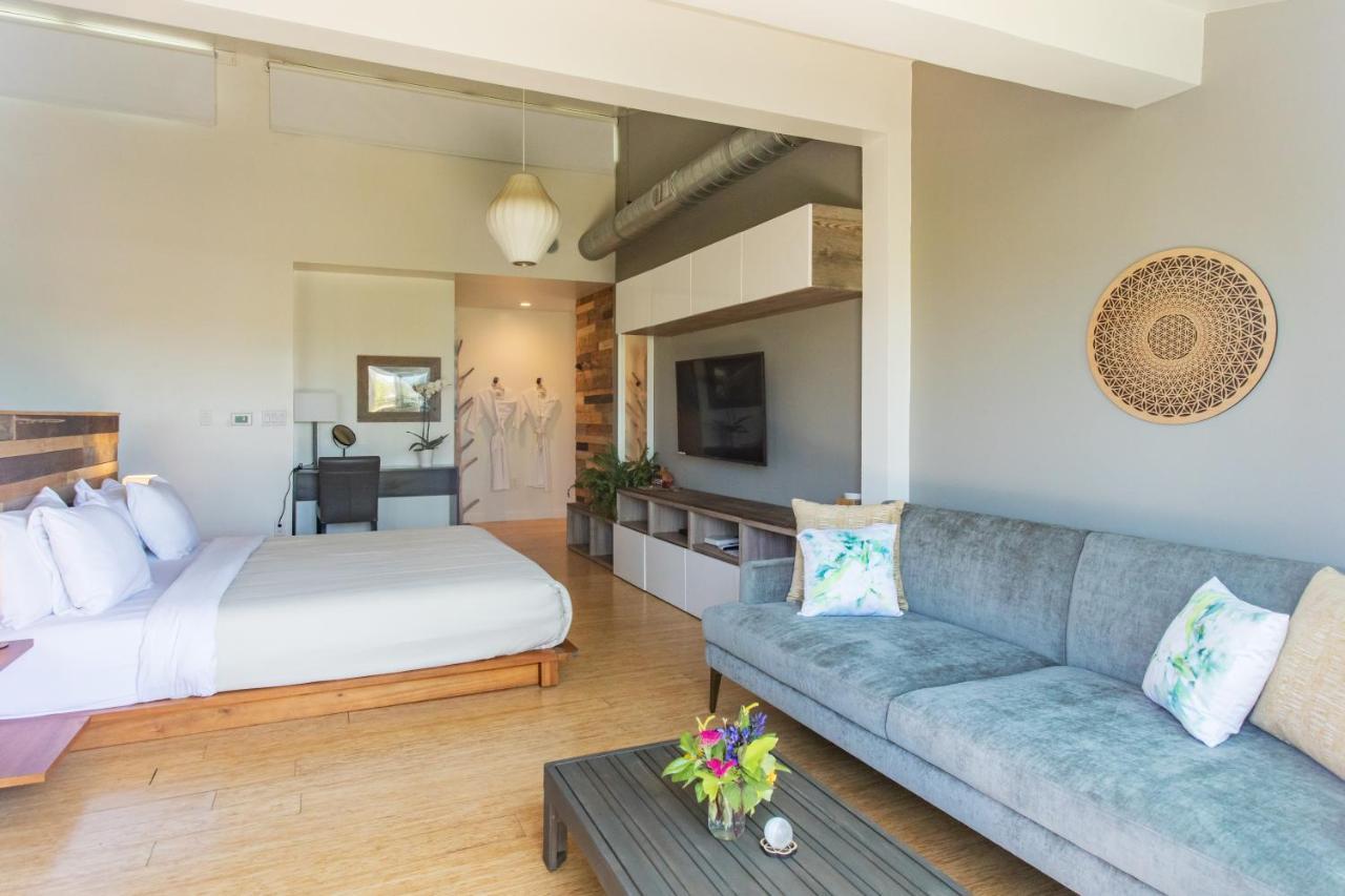 Inn At Moonlight Beach Encinitas Zewnętrze zdjęcie