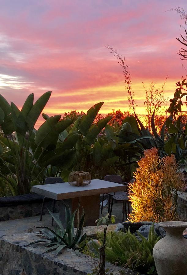 Inn At Moonlight Beach Encinitas Zewnętrze zdjęcie