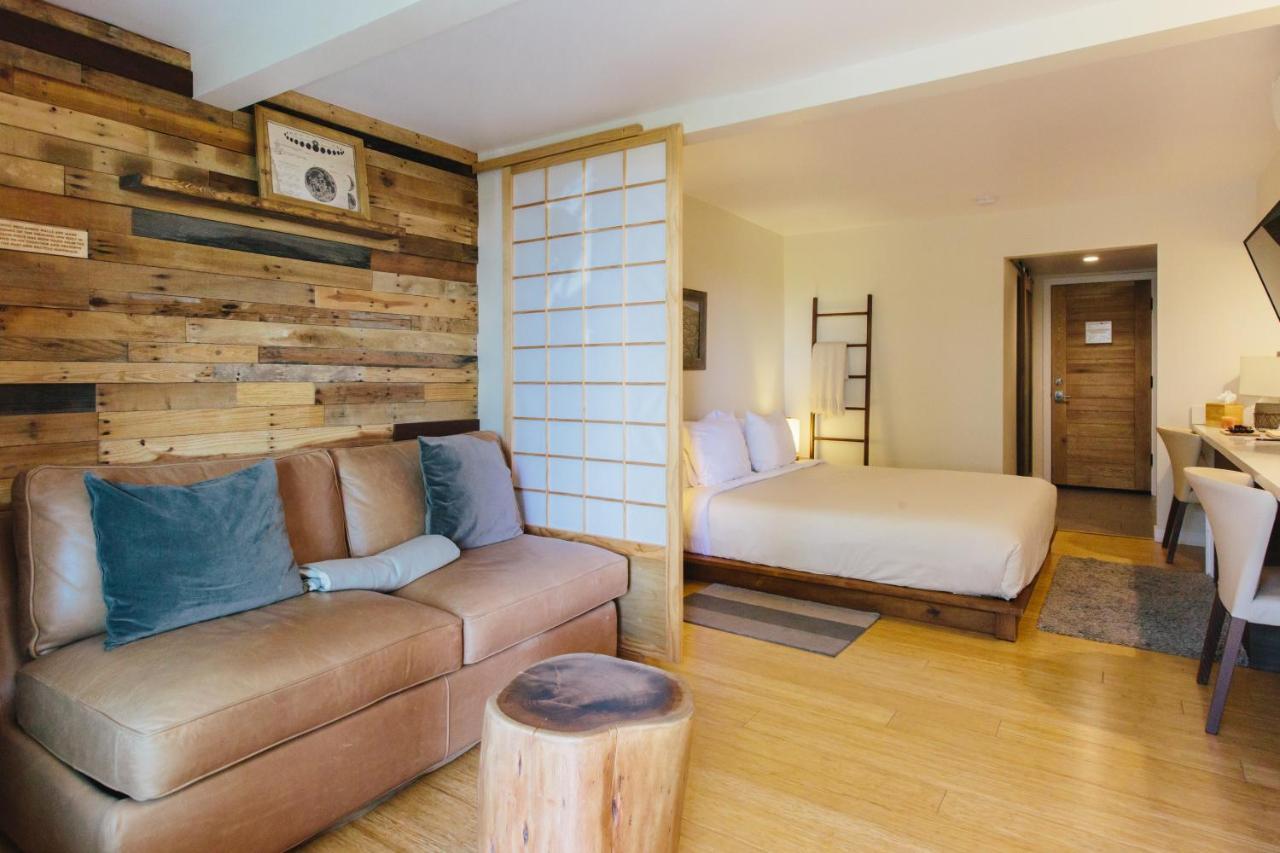 Inn At Moonlight Beach Encinitas Zewnętrze zdjęcie